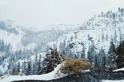 Snow covered landscape against sky