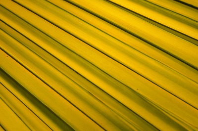 Full frame shot of yellow wall