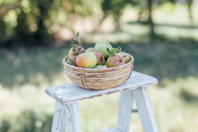 Close-up of apples in basket on table