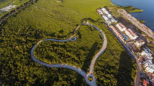 Heart shape road in trees