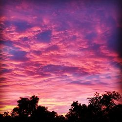 Low angle view of silhouette trees against dramatic sky