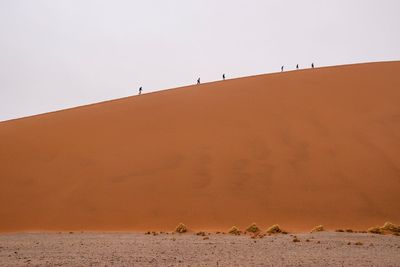 Scenic view of desert against clear sky