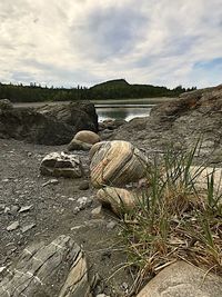 Scenic view of shore against sky