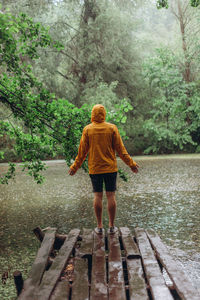 Rear view of girl standing on pier in forest