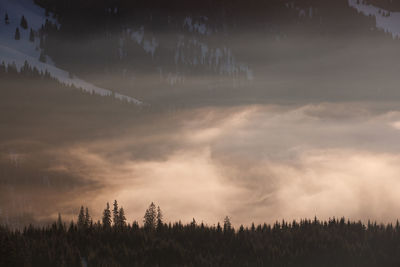 Winter landscape from rodnei mountain. a cold foggy morning with heavy snow.