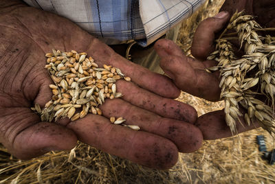 Close-up of farmer holding seeds at field