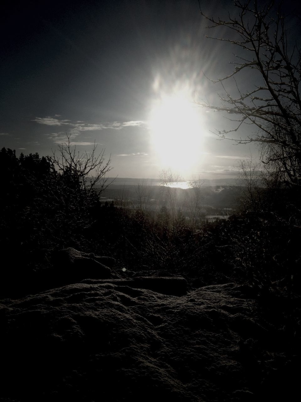 sun, sunlight, sunbeam, tranquility, sky, lens flare, tranquil scene, nature, beauty in nature, bare tree, scenics, tree, field, sunny, landscape, bright, branch, no people, outdoors, day