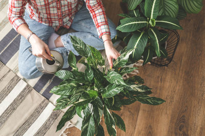 Midsection of man holding plant