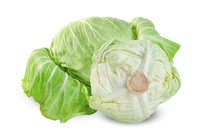 Close-up of cabbage against white background