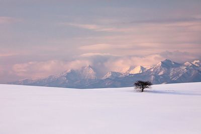 Scenic view of snow covered mountain against sky