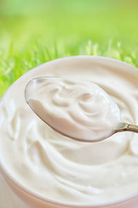 High angle close-up of yogurt on bowl