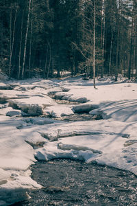 View of snow covered land