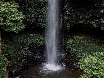 Scenic view of waterfall in forest