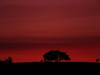 Silhouette trees on landscape against sky at sunset