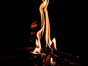 Close-up of fire against black background