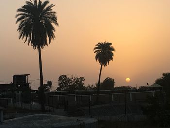 Palm trees against sky at sunset