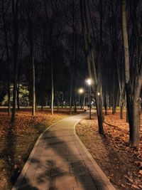 Illuminated street lights in park at night