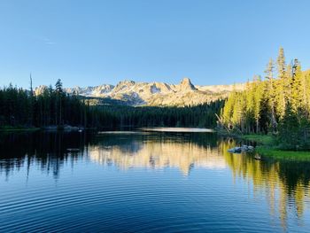 Scenic view of lake by trees against clear sky