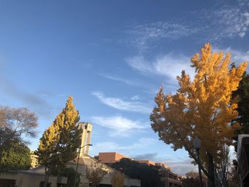 Low angle view of trees and buildings against sky