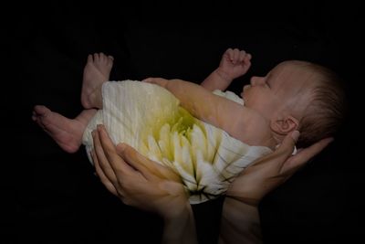 Double exposure image of hand holding baby and flower against black background