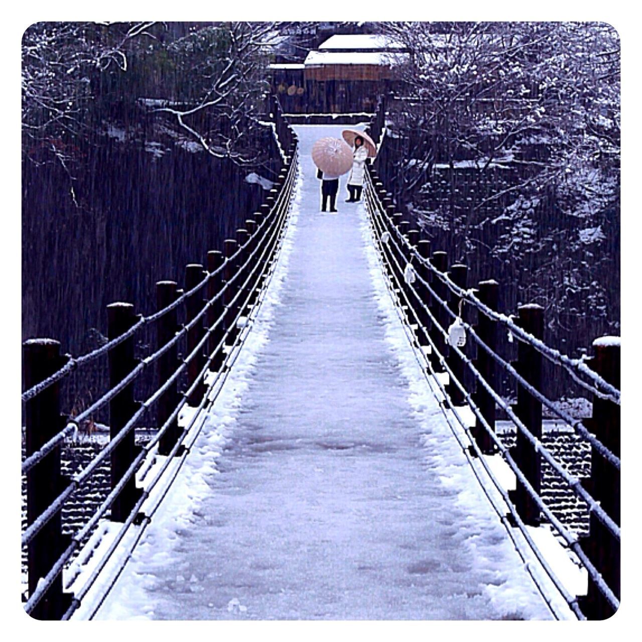 Shirakawago