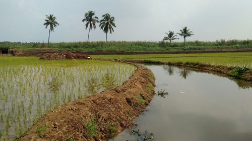 Lake amidst field against sky