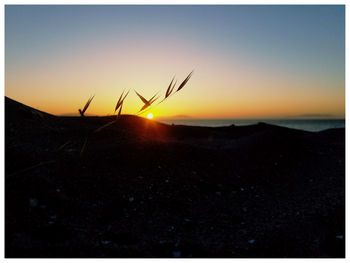 Scenic view of silhouette field against clear sky during sunset