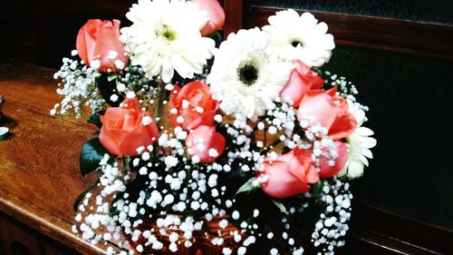 Close-up of flowers in vase