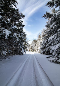 Snow covered road amidst trees against sky