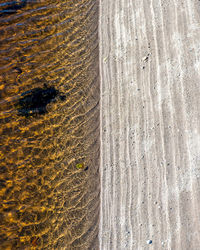 High angle view of agricultural field