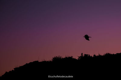 Silhouette of birds flying against sky during sunset