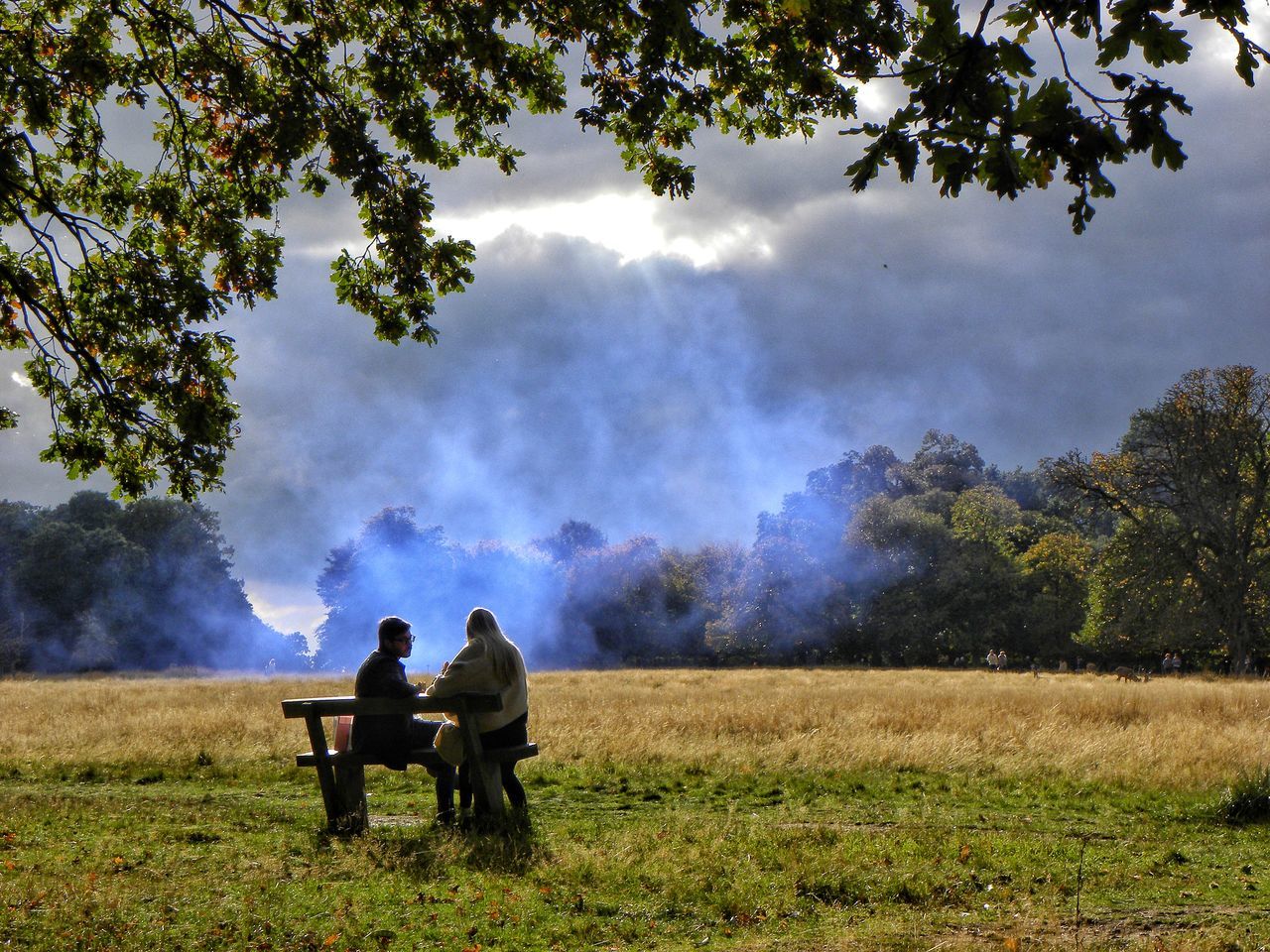 Couple on a bench