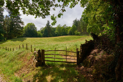 A large fenced pasture to keep cattle from fleeing