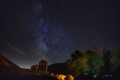 Low angle view of trees against sky at night