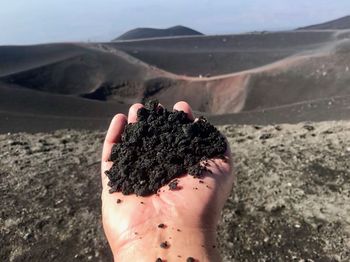 Cropped hand of person holding dirt