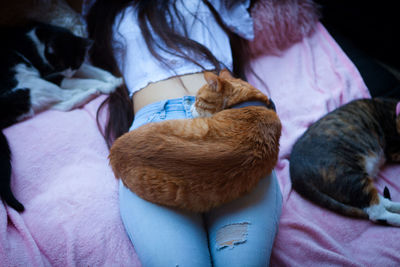 Close-up of cat sleeping on woman