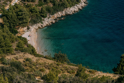 High angle view of sea and trees