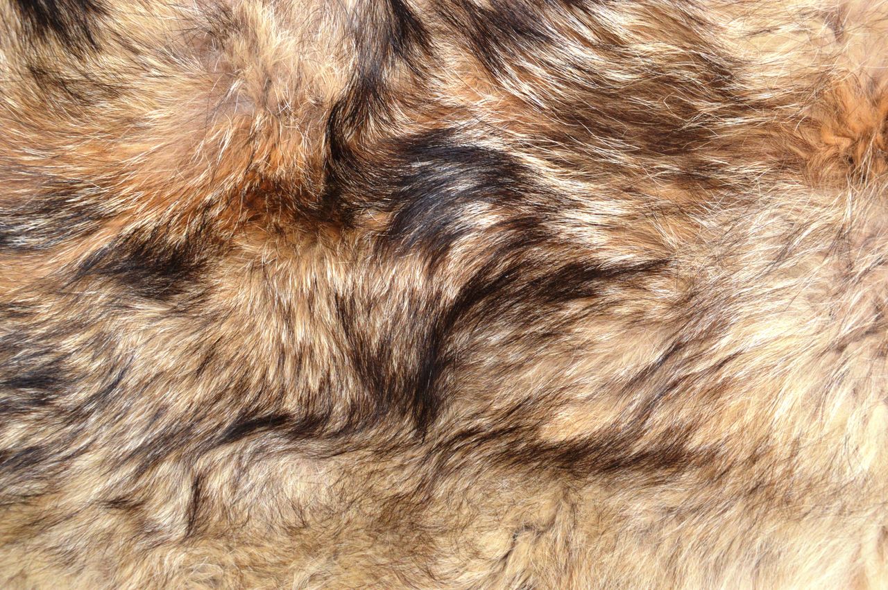 fur, animal, animal themes, mammal, animal hair, backgrounds, textile, one animal, full frame, brown, fur clothing, no people, animal body part, close-up, domestic animals, pet, textured, animal skin, pattern, mane