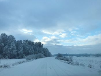 Scenic view of snow covered trees against sky