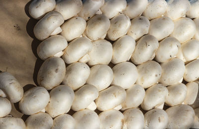 Full frame shot of onions for sale