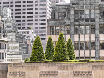 Trees and modern building in city