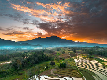 landscape