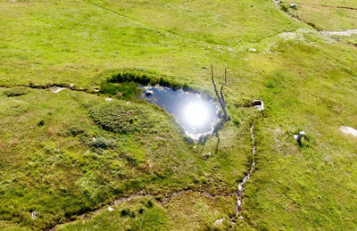High angle view of stream on land