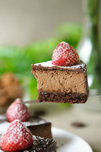 Close-up of chocolate cake