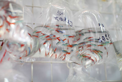 Close-up of decorations on glass for sale