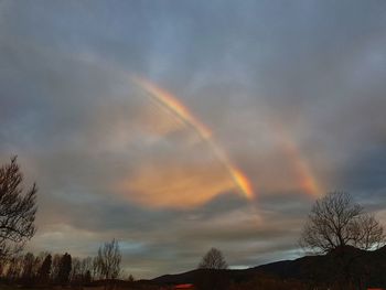 Low angle view of rainbow over trees against sky