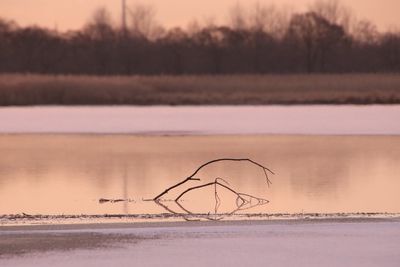 Scenic view of frozen lake against sky during sunset