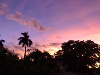 Low angle view of silhouette trees against sky during sunset