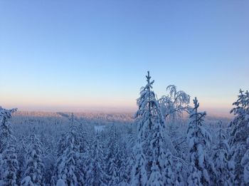 Snow covered landscape