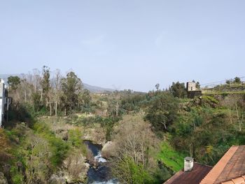 Plants and trees by building against clear sky